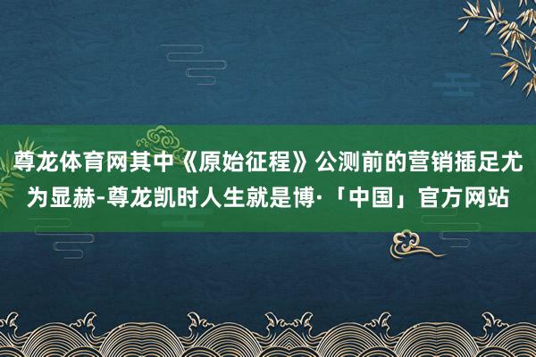 尊龙体育网其中《原始征程》公测前的营销插足尤为显赫-尊龙凯时人生就是博·「中国」官方网站