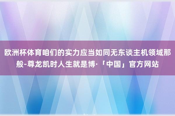 欧洲杯体育咱们的实力应当如同无东谈主机领域那般-尊龙凯时人生就是博·「中国」官方网站