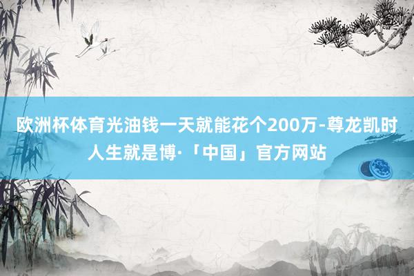 欧洲杯体育光油钱一天就能花个200万-尊龙凯时人生就是博·「中国」官方网站