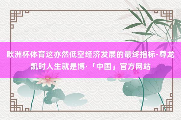 欧洲杯体育这亦然低空经济发展的最终指标-尊龙凯时人生就是博·「中国」官方网站