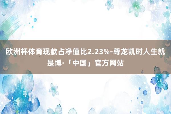 欧洲杯体育现款占净值比2.23%-尊龙凯时人生就是博·「中国」官方网站