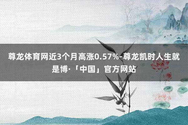 尊龙体育网近3个月高涨0.57%-尊龙凯时人生就是博·「中国」官方网站