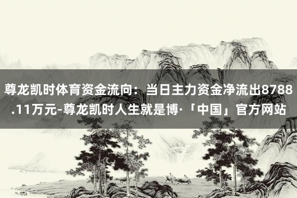 尊龙凯时体育资金流向：当日主力资金净流出8788.11万元-尊龙凯时人生就是博·「中国」官方网站