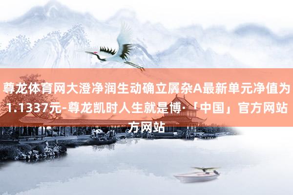 尊龙体育网大澄净润生动确立羼杂A最新单元净值为1.1337元-尊龙凯时人生就是博·「中国」官方网站