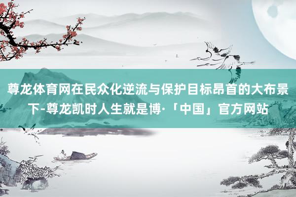 尊龙体育网在民众化逆流与保护目标昂首的大布景下-尊龙凯时人生就是博·「中国」官方网站