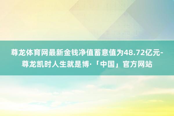 尊龙体育网最新金钱净值蓄意值为48.72亿元-尊龙凯时人生就是博·「中国」官方网站