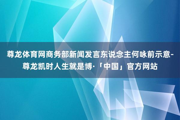 尊龙体育网商务部新闻发言东说念主何咏前示意-尊龙凯时人生就是博·「中国」官方网站