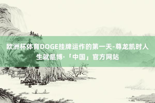 欧洲杯体育DOGE挂牌运作的第一天-尊龙凯时人生就是博·「中国」官方网站