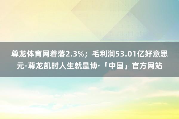 尊龙体育网着落2.3%；毛利润53.01亿好意思元-尊龙凯时人生就是博·「中国」官方网站