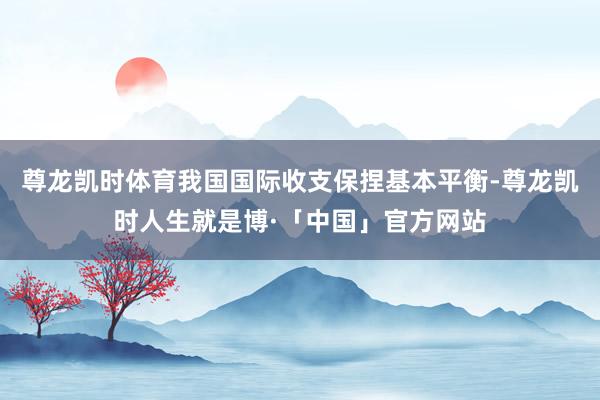 尊龙凯时体育我国国际收支保捏基本平衡-尊龙凯时人生就是博·「中国」官方网站