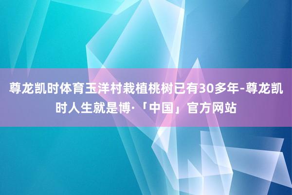 尊龙凯时体育玉洋村栽植桃树已有30多年-尊龙凯时人生就是博·「中国」官方网站