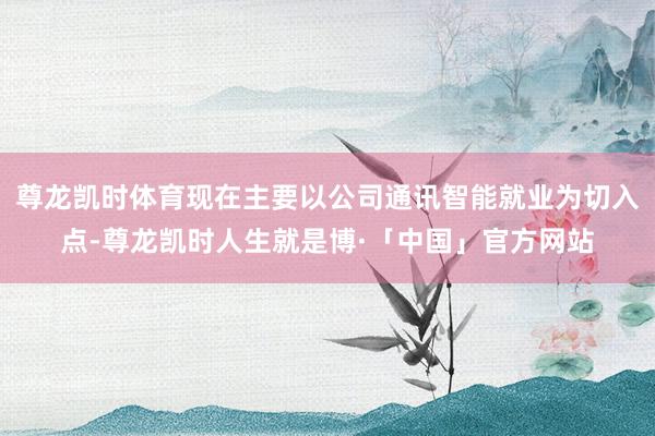 尊龙凯时体育现在主要以公司通讯智能就业为切入点-尊龙凯时人生就是博·「中国」官方网站