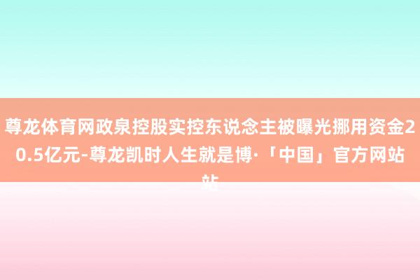 尊龙体育网政泉控股实控东说念主被曝光挪用资金20.5亿元-尊龙凯时人生就是博·「中国」官方网站