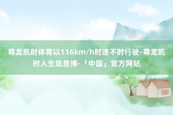 尊龙凯时体育以116km/h时速不时行驶-尊龙凯时人生就是博·「中国」官方网站
