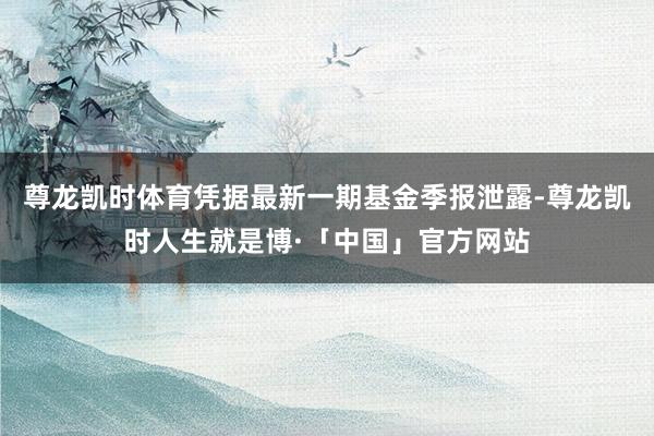 尊龙凯时体育凭据最新一期基金季报泄露-尊龙凯时人生就是博·「中国」官方网站