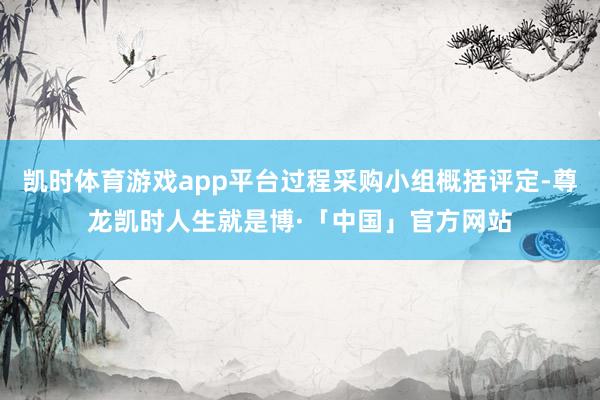 凯时体育游戏app平台过程采购小组概括评定-尊龙凯时人生就是博·「中国」官方网站