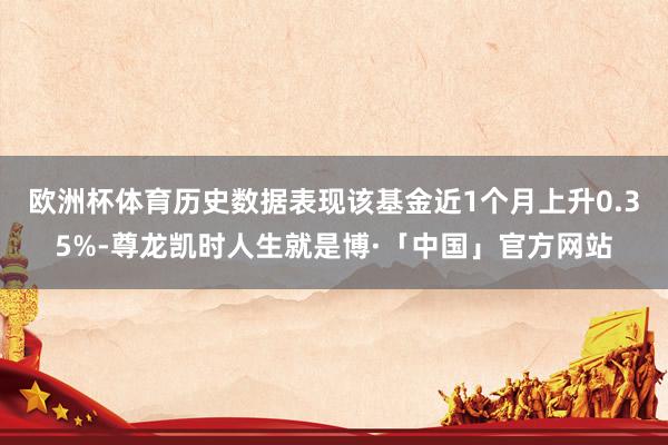 欧洲杯体育历史数据表现该基金近1个月上升0.35%-尊龙凯时人生就是博·「中国」官方网站