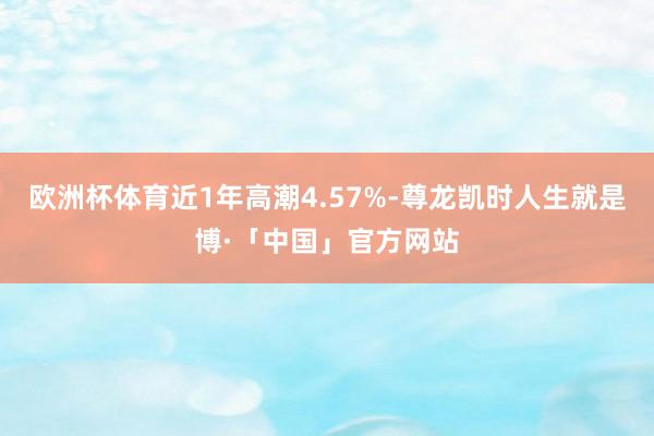 欧洲杯体育近1年高潮4.57%-尊龙凯时人生就是博·「中国」官方网站