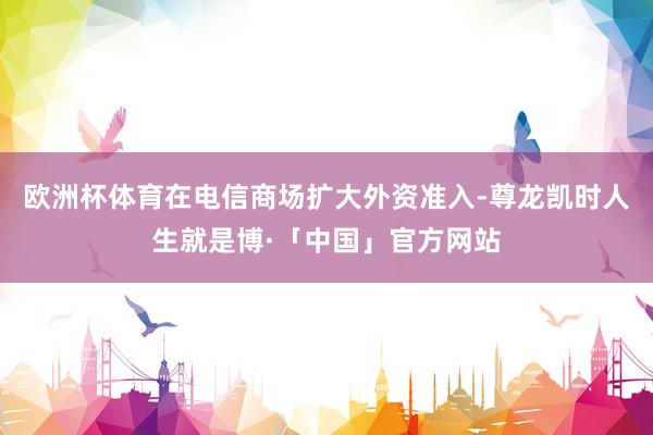 欧洲杯体育在电信商场扩大外资准入-尊龙凯时人生就是博·「中国」官方网站