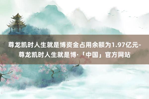 尊龙凯时人生就是博资金占用余额为1.97亿元-尊龙凯时人生就是博·「中国」官方网站