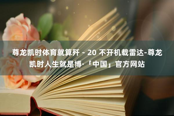 尊龙凯时体育就算歼 - 20 不开机载雷达-尊龙凯时人生就是博·「中国」官方网站