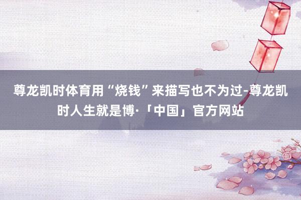 尊龙凯时体育用“烧钱”来描写也不为过-尊龙凯时人生就是博·「中国」官方网站