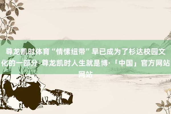 尊龙凯时体育“情愫纽带”早已成为了杉达校园文化的一部分-尊龙凯时人生就是博·「中国」官方网站