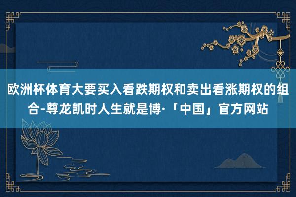 欧洲杯体育大要买入看跌期权和卖出看涨期权的组合-尊龙凯时人生就是博·「中国」官方网站