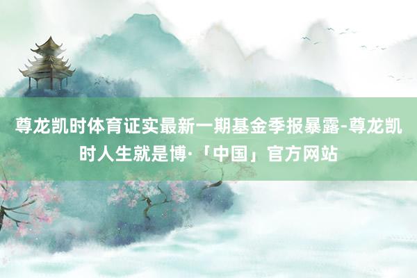 尊龙凯时体育证实最新一期基金季报暴露-尊龙凯时人生就是博·「中国」官方网站