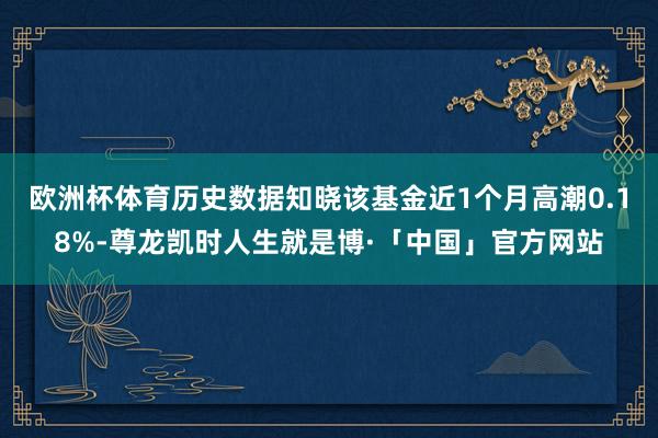 欧洲杯体育历史数据知晓该基金近1个月高潮0.18%-尊龙凯时人生就是博·「中国」官方网站