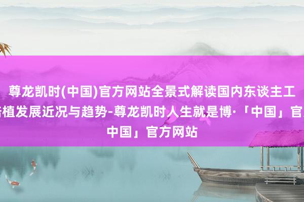 尊龙凯时(中国)官方网站全景式解读国内东谈主工智能培植发展近况与趋势-尊龙凯时人生就是博·「中国」官方网站