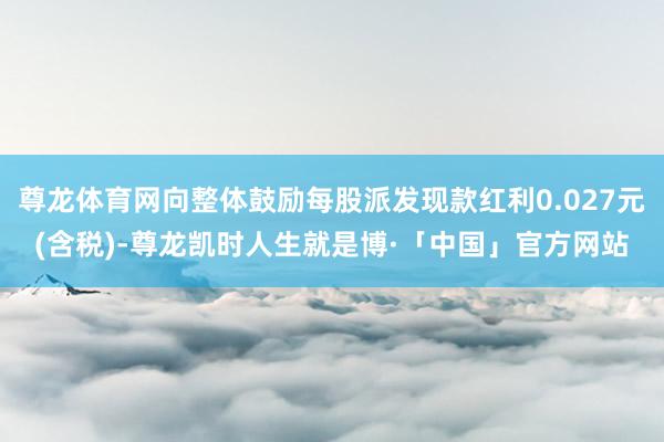 尊龙体育网向整体鼓励每股派发现款红利0.027元(含税)-尊龙凯时人生就是博·「中国」官方网站