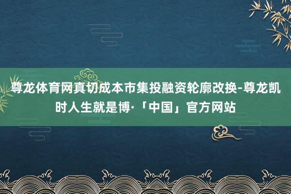 尊龙体育网真切成本市集投融资轮廓改换-尊龙凯时人生就是博·「中国」官方网站