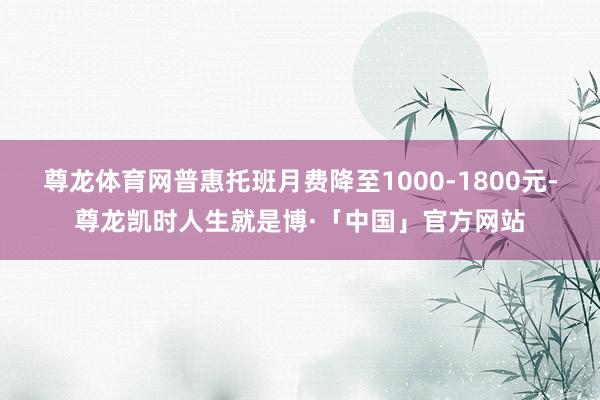 尊龙体育网普惠托班月费降至1000-1800元-尊龙凯时人生就是博·「中国」官方网站