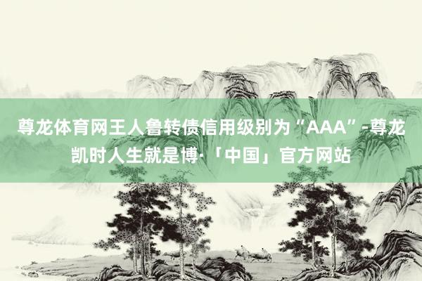 尊龙体育网王人鲁转债信用级别为“AAA”-尊龙凯时人生就是博·「中国」官方网站