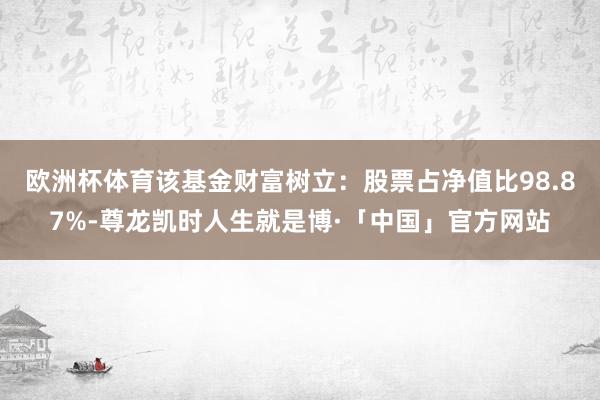 欧洲杯体育该基金财富树立：股票占净值比98.87%-尊龙凯时人生就是博·「中国」官方网站