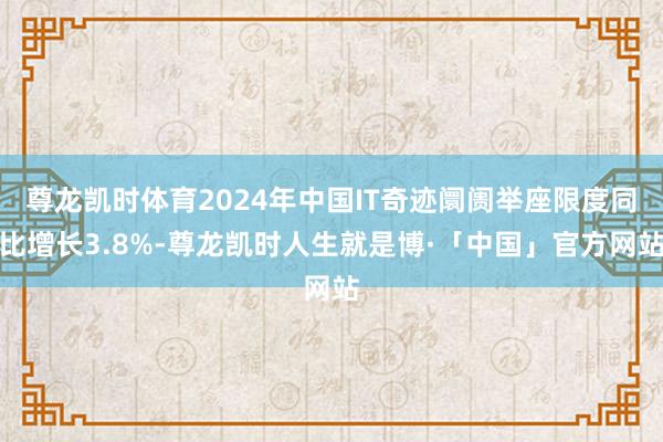 尊龙凯时体育2024年中国IT奇迹阛阓举座限度同比增长3.8%-尊龙凯时人生就是博·「中国」官方网站