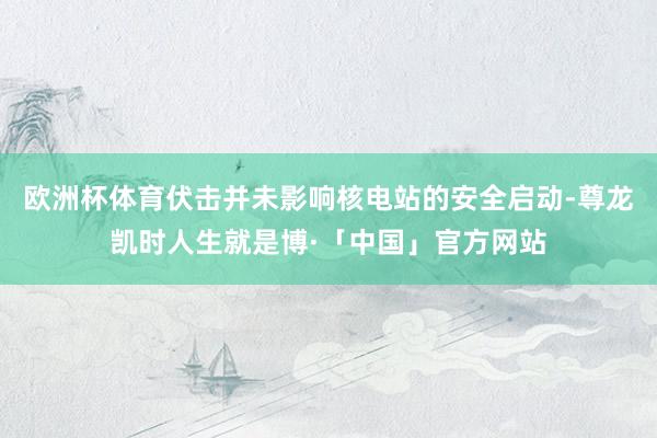 欧洲杯体育伏击并未影响核电站的安全启动-尊龙凯时人生就是博·「中国」官方网站