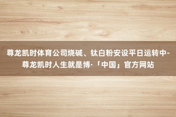 尊龙凯时体育公司烧碱、钛白粉安设平日运转中-尊龙凯时人生就是博·「中国」官方网站