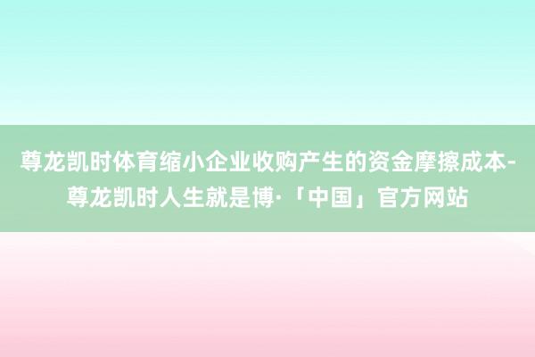 尊龙凯时体育缩小企业收购产生的资金摩擦成本-尊龙凯时人生就是博·「中国」官方网站