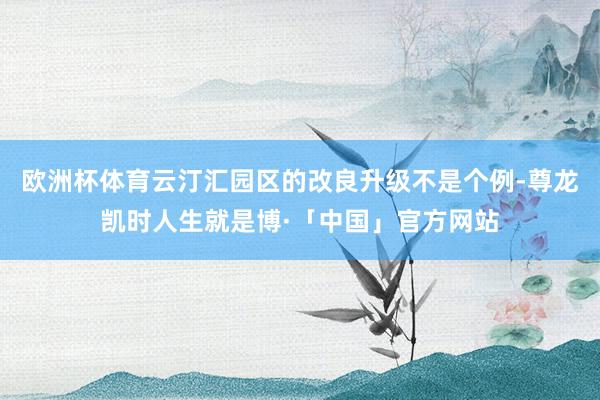 欧洲杯体育云汀汇园区的改良升级不是个例-尊龙凯时人生就是博·「中国」官方网站