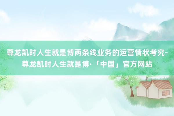 尊龙凯时人生就是博两条线业务的运营情状考究-尊龙凯时人生就是博·「中国」官方网站