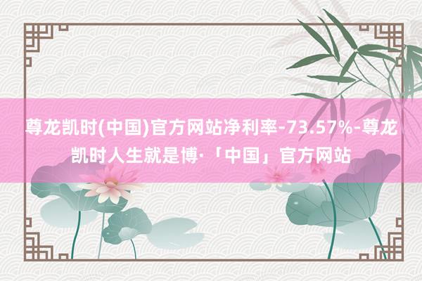 尊龙凯时(中国)官方网站净利率-73.57%-尊龙凯时人生就是博·「中国」官方网站