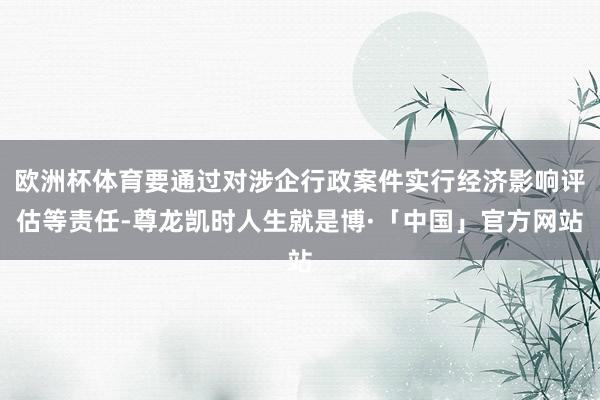 欧洲杯体育要通过对涉企行政案件实行经济影响评估等责任-尊龙凯时人生就是博·「中国」官方网站