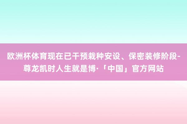 欧洲杯体育现在已干预栽种安设、保密装修阶段-尊龙凯时人生就是博·「中国」官方网站