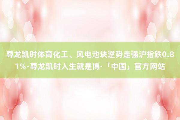 尊龙凯时体育化工、风电池块逆势走强沪指跌0.81%-尊龙凯时人生就是博·「中国」官方网站