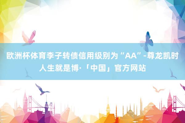 欧洲杯体育李子转债信用级别为“AA”-尊龙凯时人生就是博·「中国」官方网站