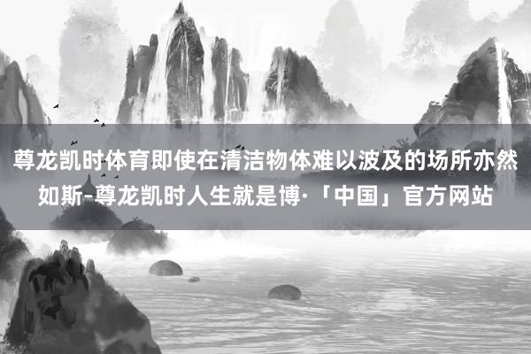 尊龙凯时体育即使在清洁物体难以波及的场所亦然如斯-尊龙凯时人生就是博·「中国」官方网站