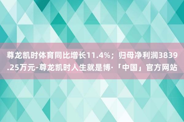 尊龙凯时体育同比增长11.4%；归母净利润3839.25万元-尊龙凯时人生就是博·「中国」官方网站