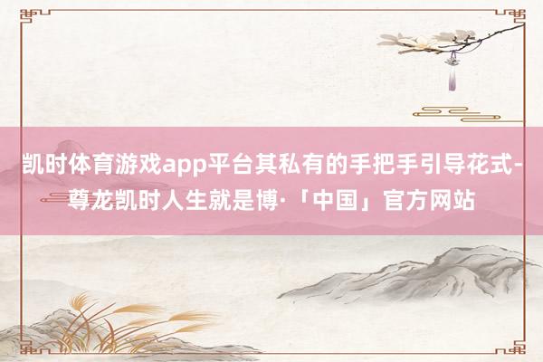 凯时体育游戏app平台其私有的手把手引导花式-尊龙凯时人生就是博·「中国」官方网站